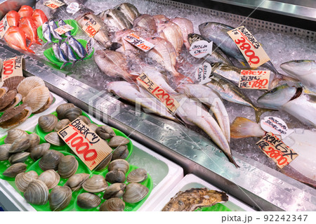 神奈川県三浦市三崎漁港　鮮魚店 92242347