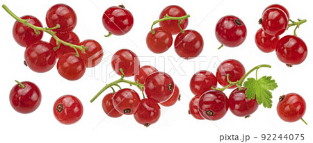 Red currant isolated on white background Red currant isolated on white background 92244075