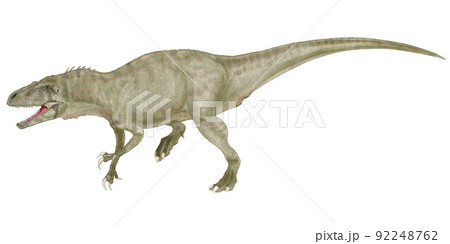 大型肉食恐竜　アエロステオンのオリジナル復元想像図 92248762