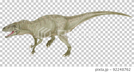 大型肉食恐竜　アエロステオンのオリジナル復元想像図 92248762