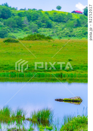 天空の湿原・夏の八島ヶ原湿原【長野県】 92252017