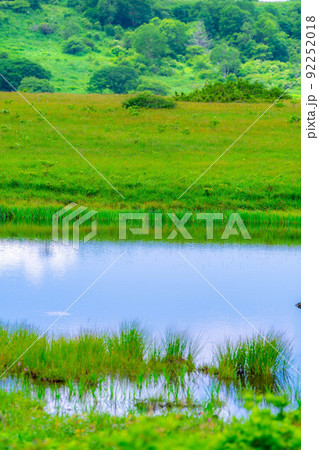 天空の湿原・夏の八島ヶ原湿原【長野県】 天空の湿原・夏の八島ヶ原湿原【長野県】 92252018