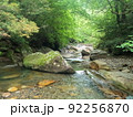 桑原川　藤河内渓谷の新緑 92256870