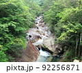 桑原川　藤河内渓谷の新緑　連続した滝 92256871