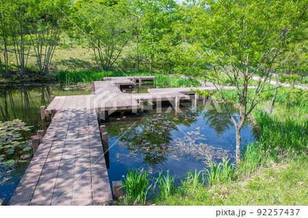 奥四万湖　湖畔　水辺　せせらぎ公園　新緑の季節　　 92257437