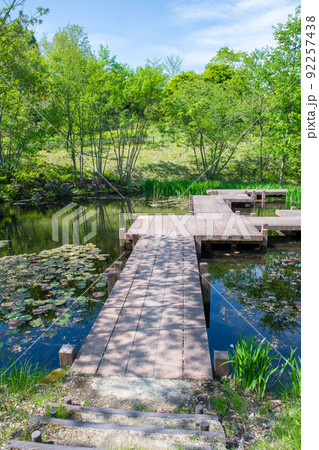 奥四万湖　湖畔　水辺　せせらぎ公園　新緑の季節　　 92257438