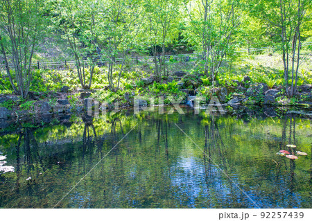 奥四万湖　湖畔　水辺　せせらぎ公園　新緑の季節　　 92257439