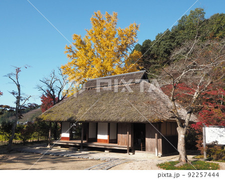 「伊藤公生家」と黄色く色づくイチョウ 「伊藤公生家」と黄色く色づくイチョウ 92257444