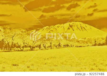 岩手 岩手山 小岩井 金 ゴールド GOLD 岩手 岩手山 小岩井 金 ゴールド GOLD 92257486