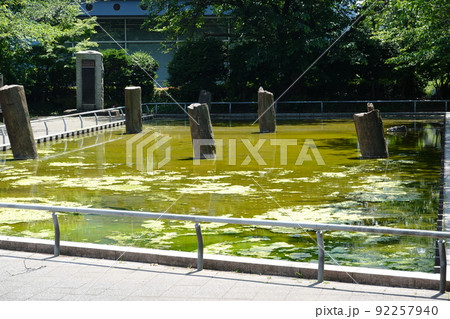 旧相模川橋脚 旧相模川橋脚 92257940