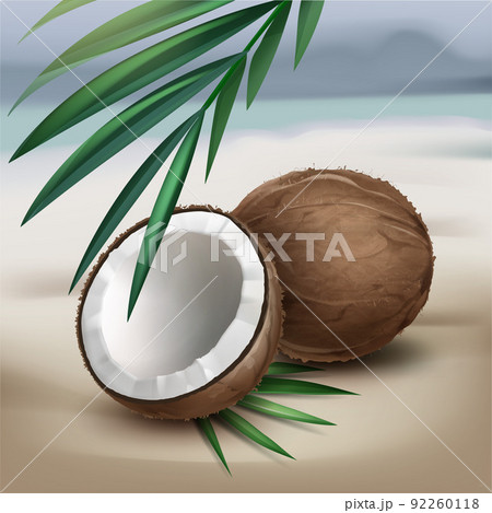 Coconuts on seaside Coconuts on seaside 92260118