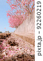 桜は散ってもきれい 92260219