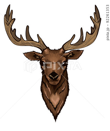 Wild Deer Head Portraitのイラスト素材 [92261353] - PIXTA