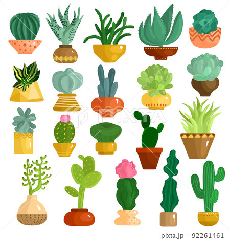 Cacti Succulents In Pots Set 92261461