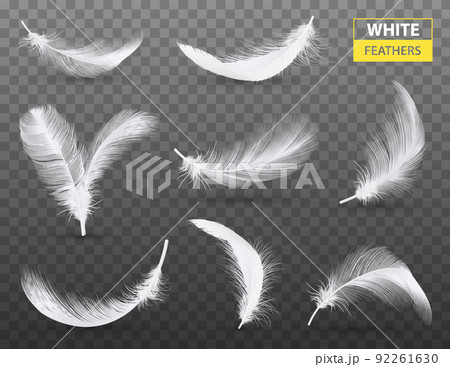 White Feathers Transparent Set White Feathers Transparent Set 92261630