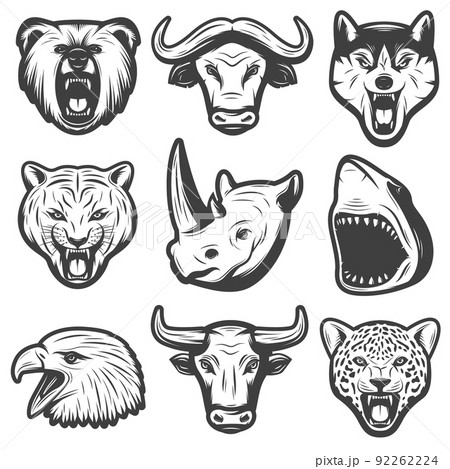 Vintage Wild Animals Set Vintage Wild Animals Set 92262224