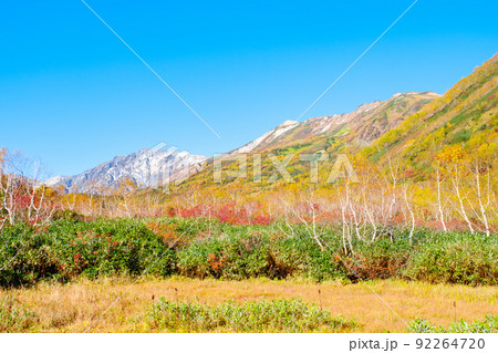 栂池自然園(秋) 栂池自然園(秋) 92264720