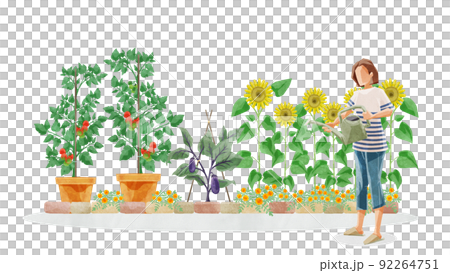 家庭菜園で水やりをする人の手書き水彩風イラスト 家庭菜園で水やりをする人の手書き水彩風イラスト 92264751
