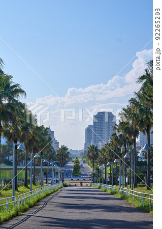 椰子の並木と新浦安の街並み　浦安総合公園 92265293