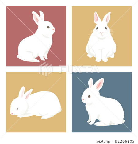 色々な白ウサギのイラスト 92266205