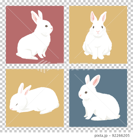 色々な白ウサギのイラスト 92266205