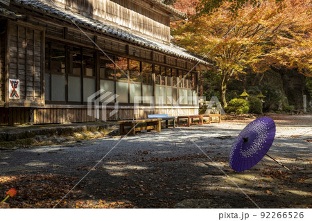 富川渓谷│富川万年の森の紅葉【長崎県諫早市富川町】 富川渓谷│富川万年の森の紅葉【長崎県諫早市富川町】 92266526