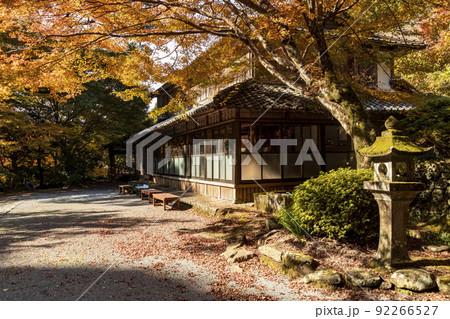 富川渓谷│富川万年の森の紅葉【長崎県諫早市富川町】 富川渓谷│富川万年の森の紅葉【長崎県諫早市富川町】 92266527
