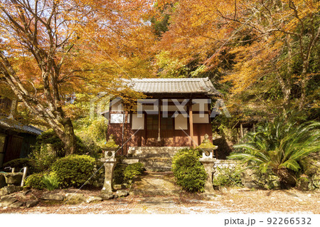 富川渓谷│富川万年の森の紅葉【長崎県諫早市富川町】 富川渓谷│富川万年の森の紅葉【長崎県諫早市富川町】 92266532