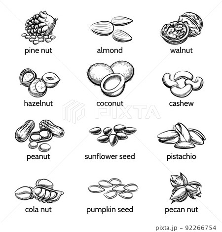 Vector nuts set 92266754
