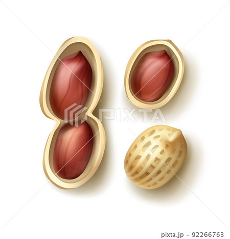 Set of peanuts 92266763