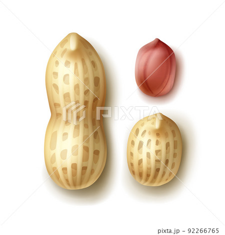 Set of peanuts 92266765