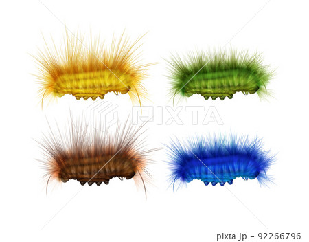 Set of caterpillars Set of caterpillars 92266796