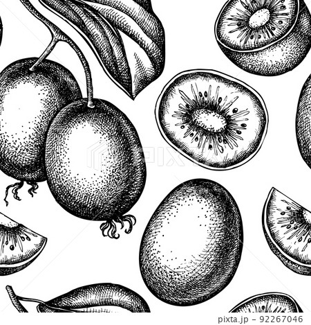 Fruits seamless pattern background design. Engraved style. Hand drawn kiwi fruit. Fruits seamless pattern background design. Engraved style. Hand drawn kiwi fruit. 92267046
