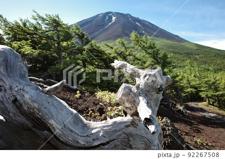 富士山 富士山 92267508
