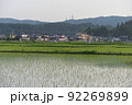 田んぼ風景 92269899