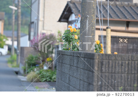 田舎の路地 92270013