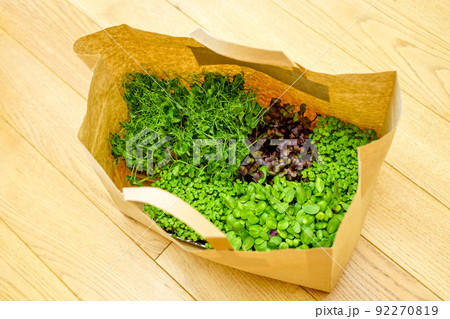 Radish, sunflower, mustard and beans pea sprouts in a paper bag from recycled materials Radish, sunflower, mustard and beans pea sprouts in a paper bag from recycled materials 92270819
