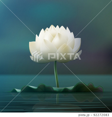 White Lotus Flowerのイラスト素材 9227