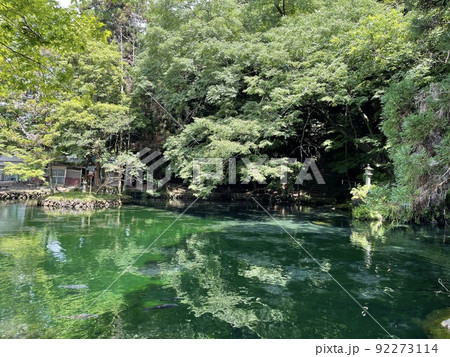 栃木県指定の天然記念物 名水100選にも選ばれた出流原弁天池 栃木県指定の天然記念物 名水100選にも選ばれた出流原弁天池 92273114
