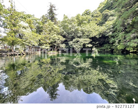 栃木県指定の天然記念物 名水100選にも選ばれた出流原弁天池 栃木県指定の天然記念物 名水100選にも選ばれた出流原弁天池 92273127