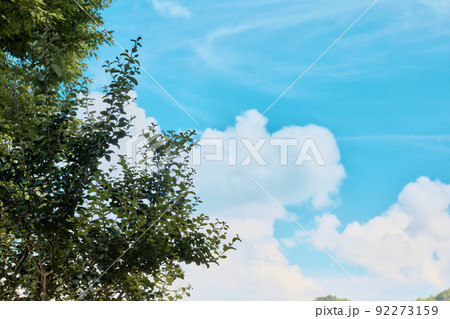 青空と木々 青空と木々 92273159