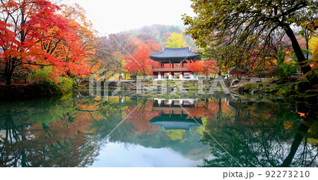 自然 風景 景色 92273210