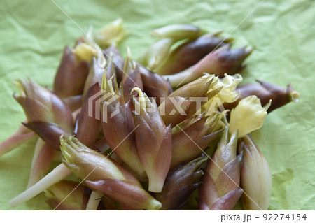 旬の茗荷は美味しい香味野菜。採れたて山積み。 92274154