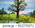 Oak and sunrise 92275071