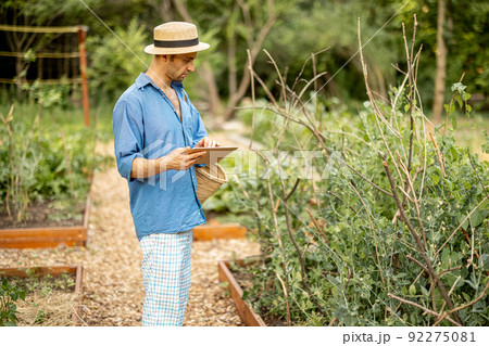 Farmer with digital tablet work at vegetable garden 92275081