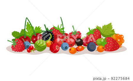 Berries Vector Illustration Berries Vector Illustration 92275684