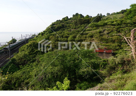 石橋山古戦場 92276023