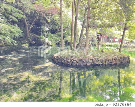 池の底もまるみえ 透明度の高い出流原弁天池、 池の底もまるみえ 透明度の高い出流原弁天池、 92276364