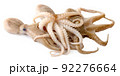 fresh octopus an isolated on a white background 92276664