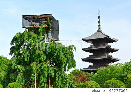 京都・東寺 92277065